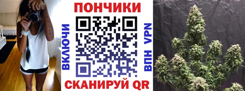 Марихуана семена  Купить где  Подпорожье 